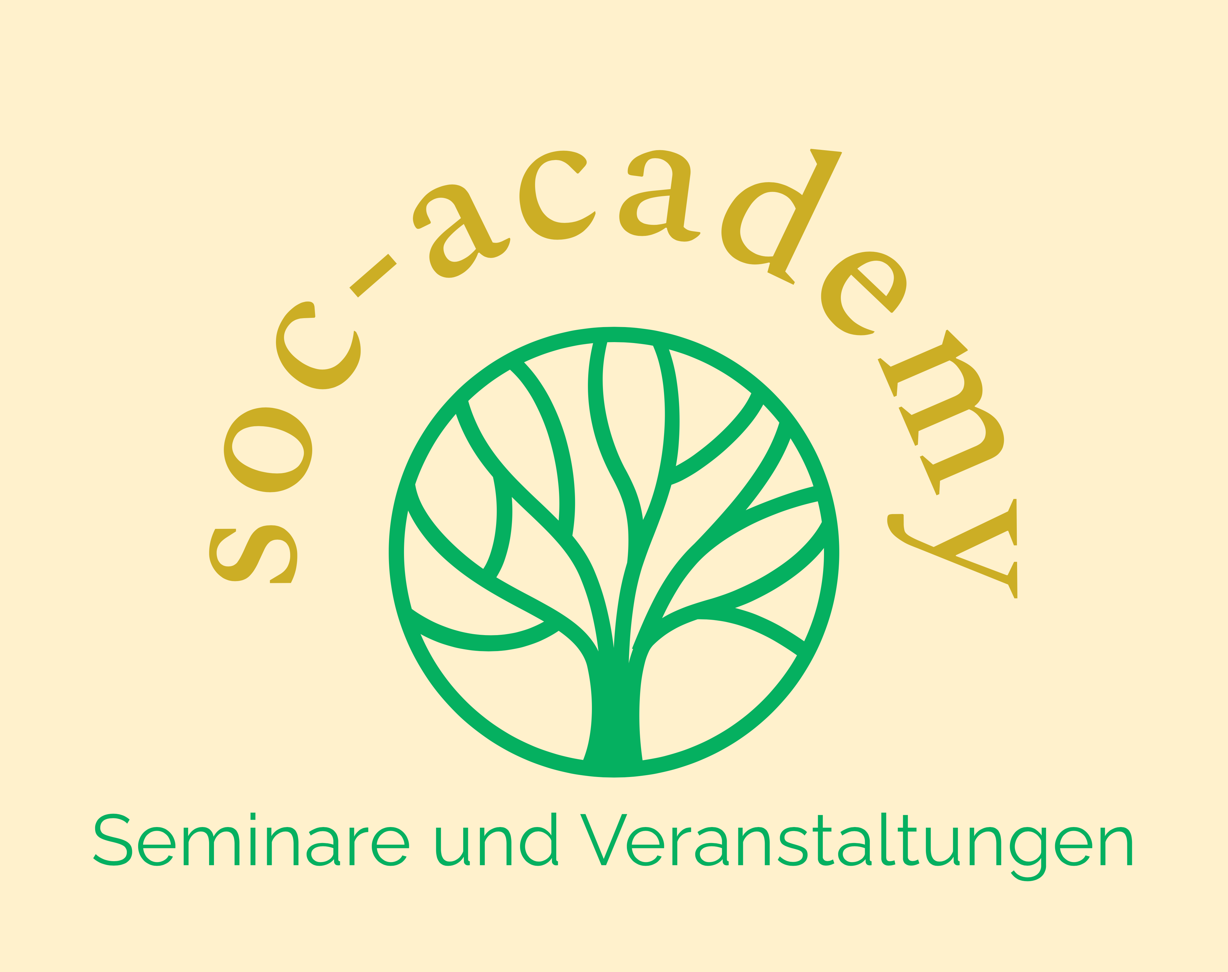 www.soc-academy.de